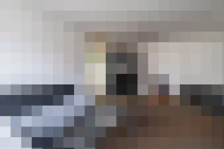 Melis Stokezijde 44 Den Haag thumbnail 7