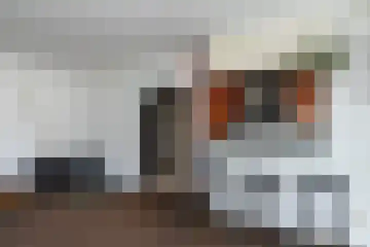 Melis Stokezijde 44 Den Haag thumbnail 8