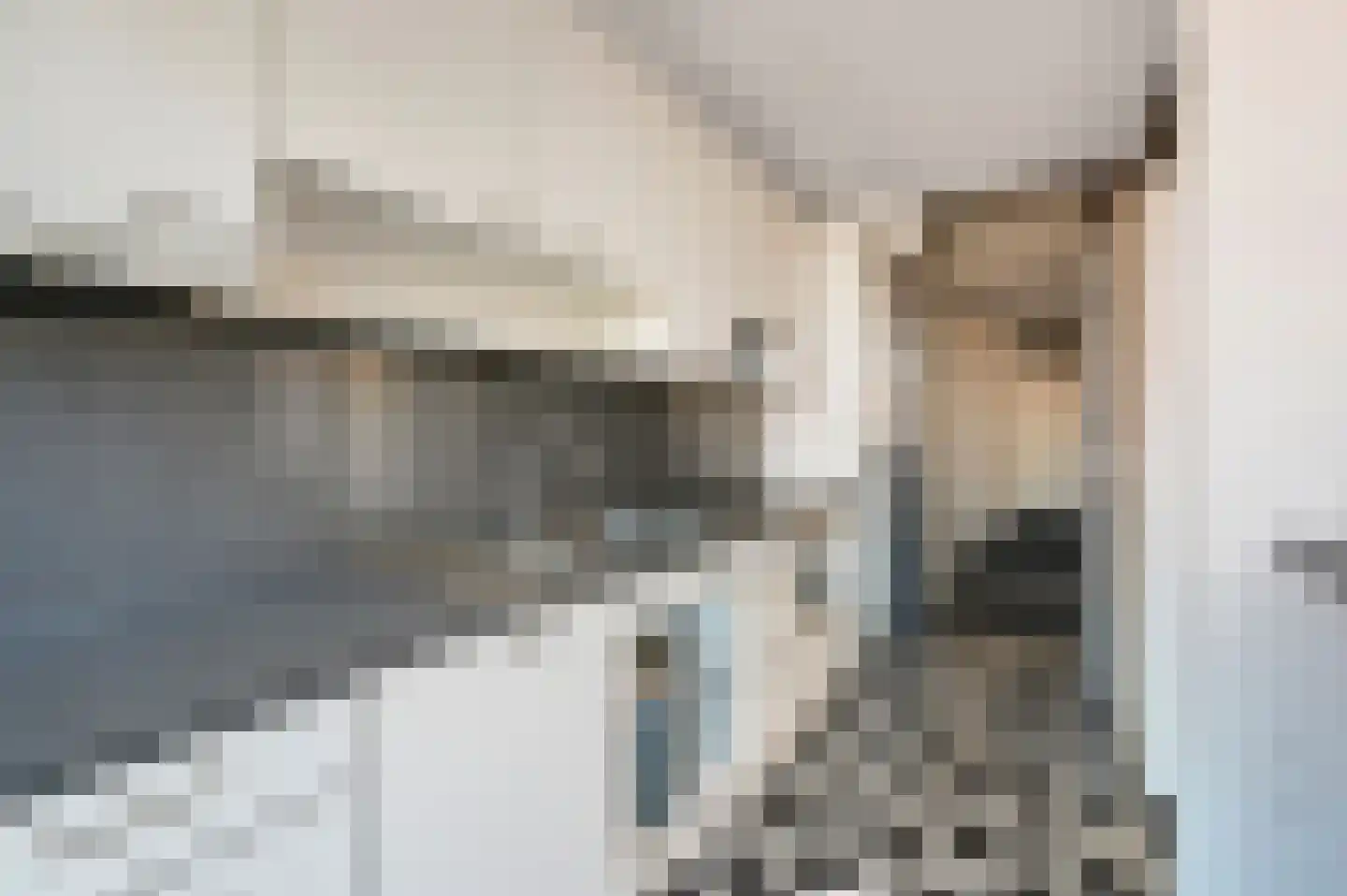 Melis Stokezijde 47 Den Haag thumbnail 15