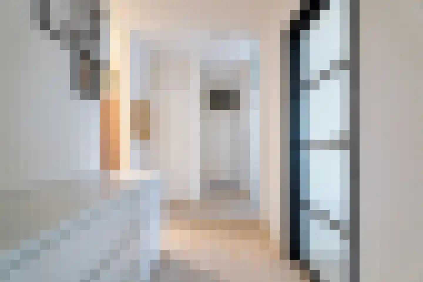 Melis Stokezijde 5 Den Haag thumbnail 14