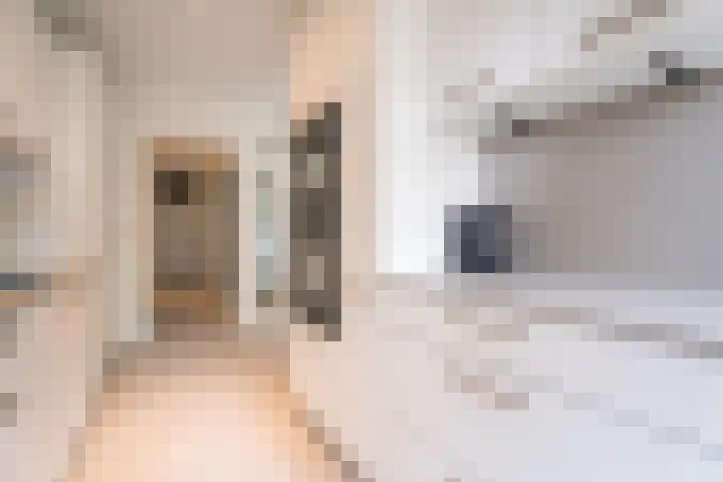 Melis Stokezijde 5 Den Haag thumbnail 16