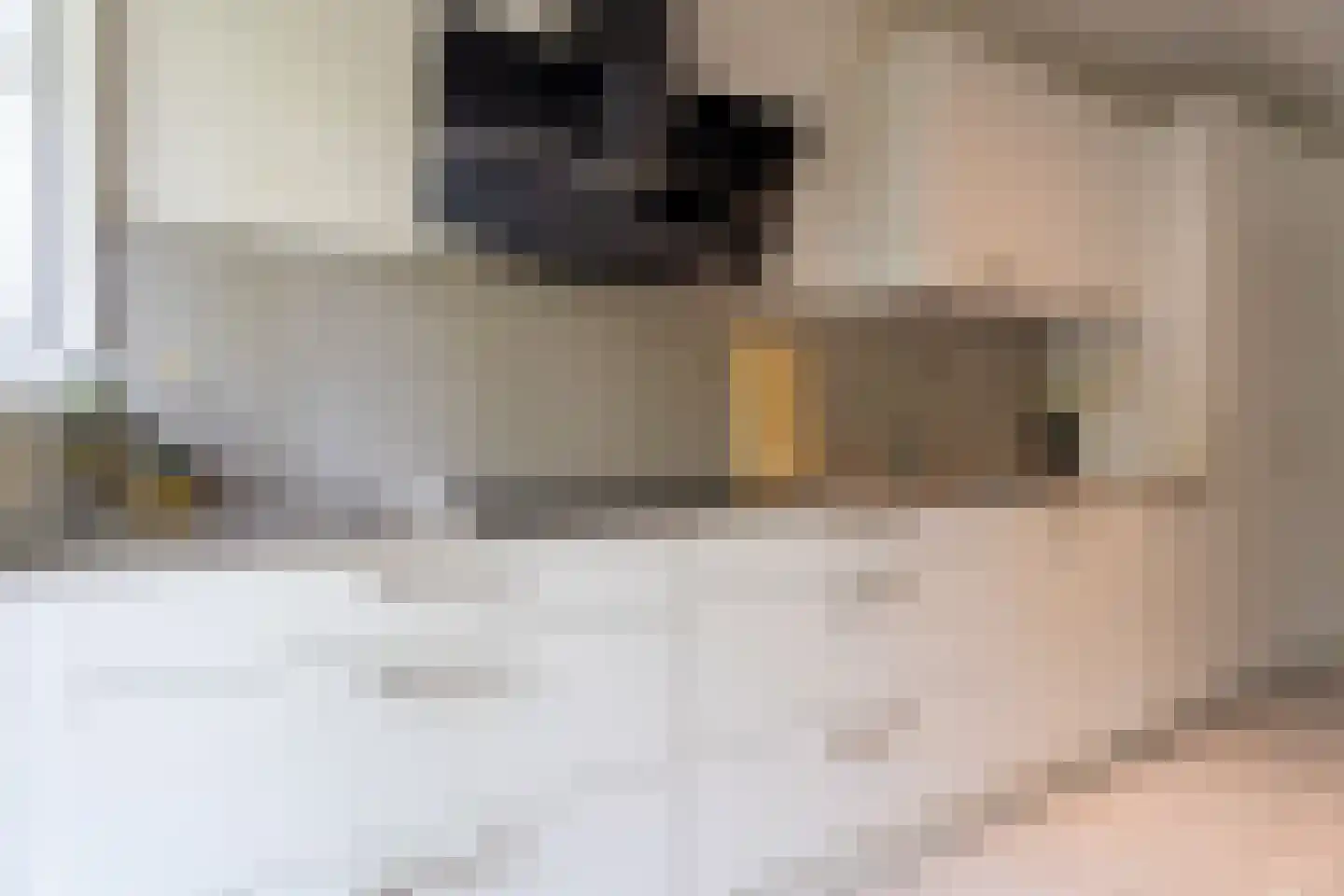 Melis Stokezijde 5 Den Haag thumbnail 17