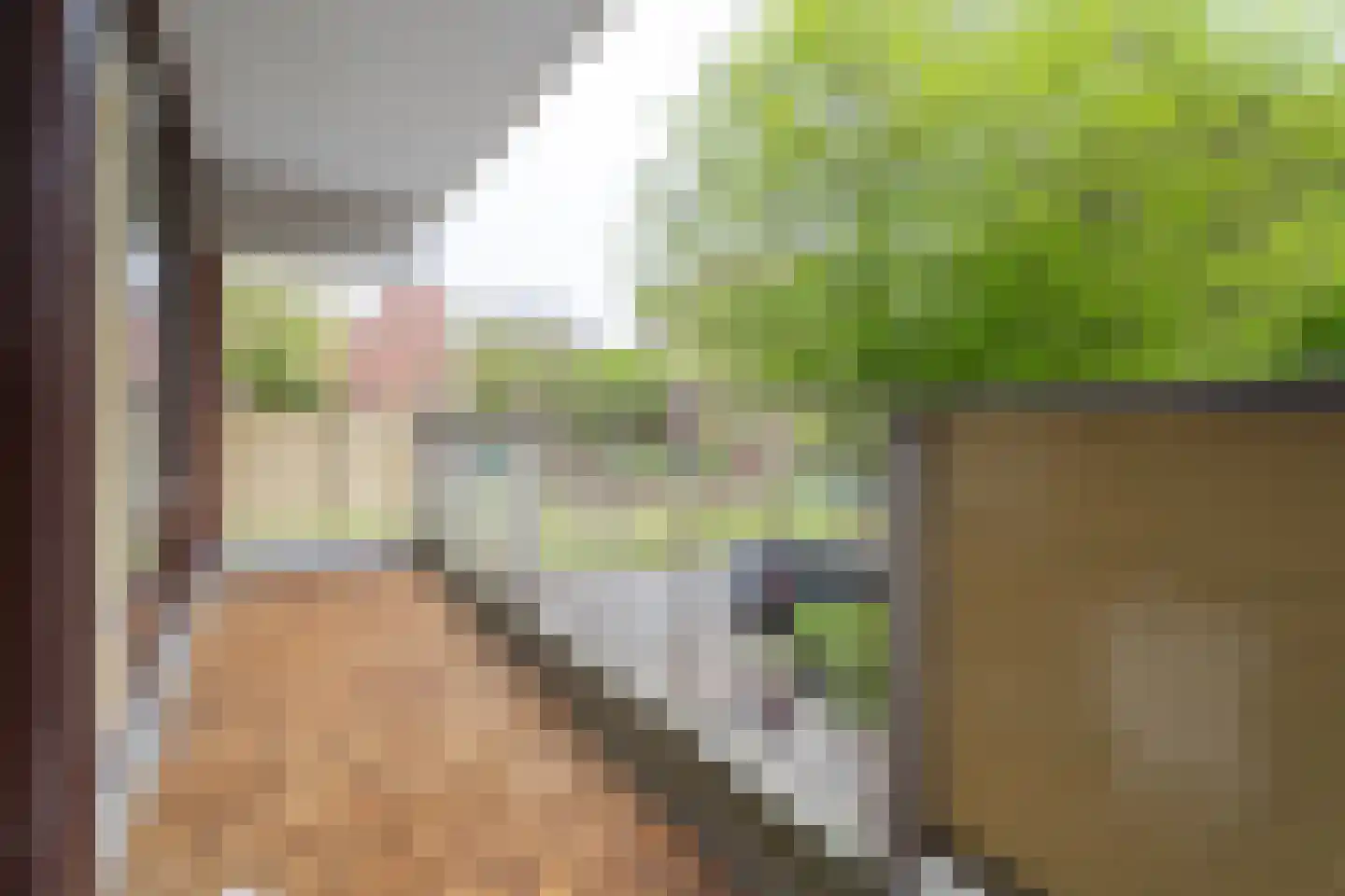 Melis Stokezijde 5 Den Haag thumbnail 34