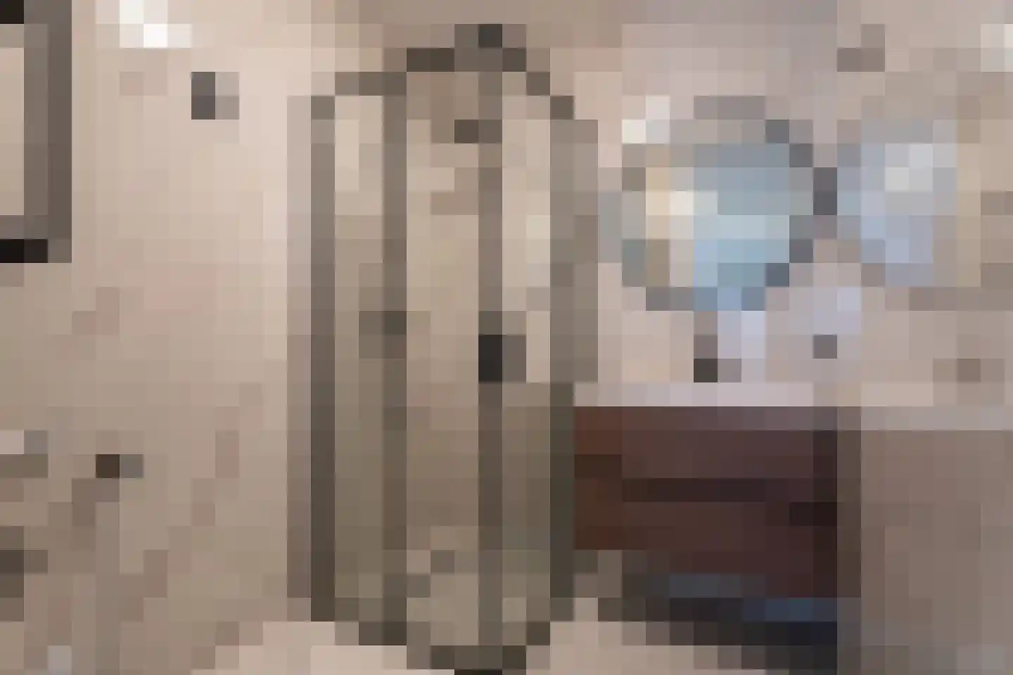Melis Stokezijde 5 Den Haag thumbnail 4