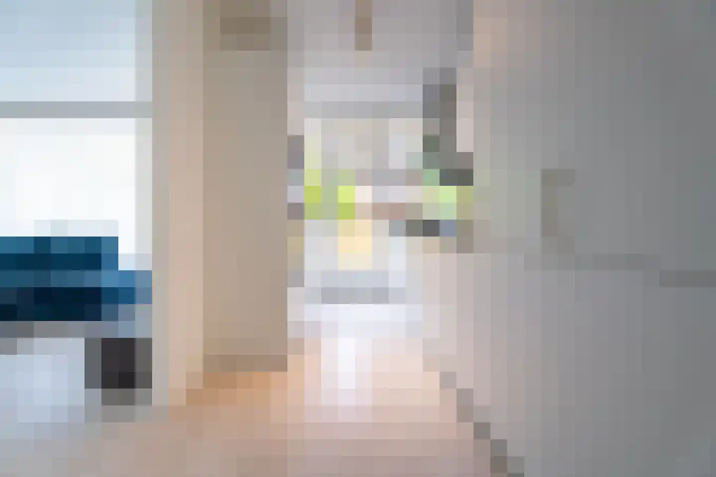 Melis Stokezijde 5 Den Haag thumbnail 9