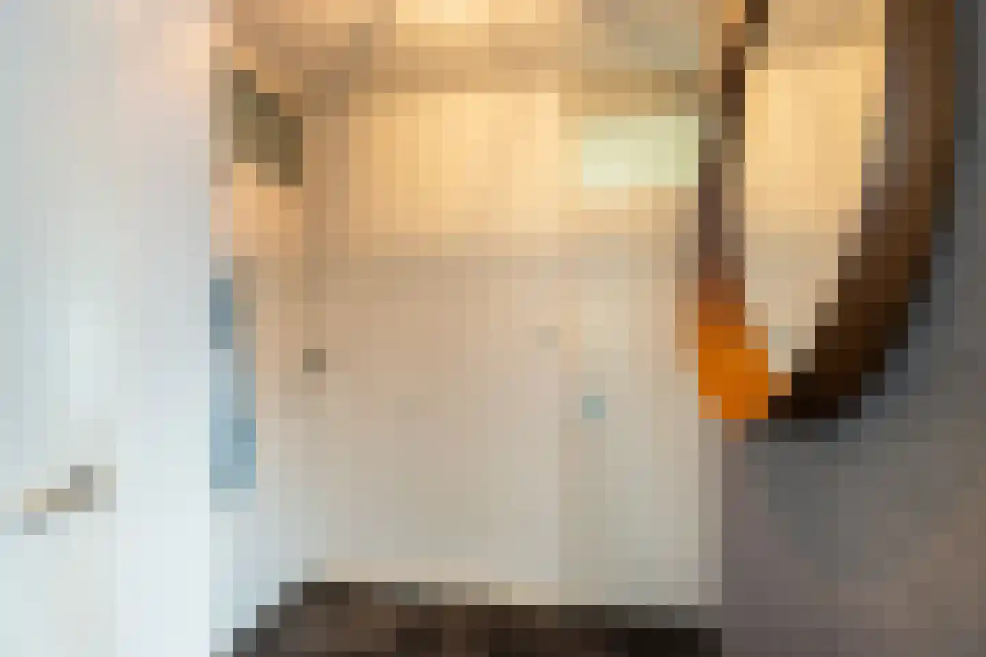 Melis Stokezijde 88 Den Haag thumbnail 14