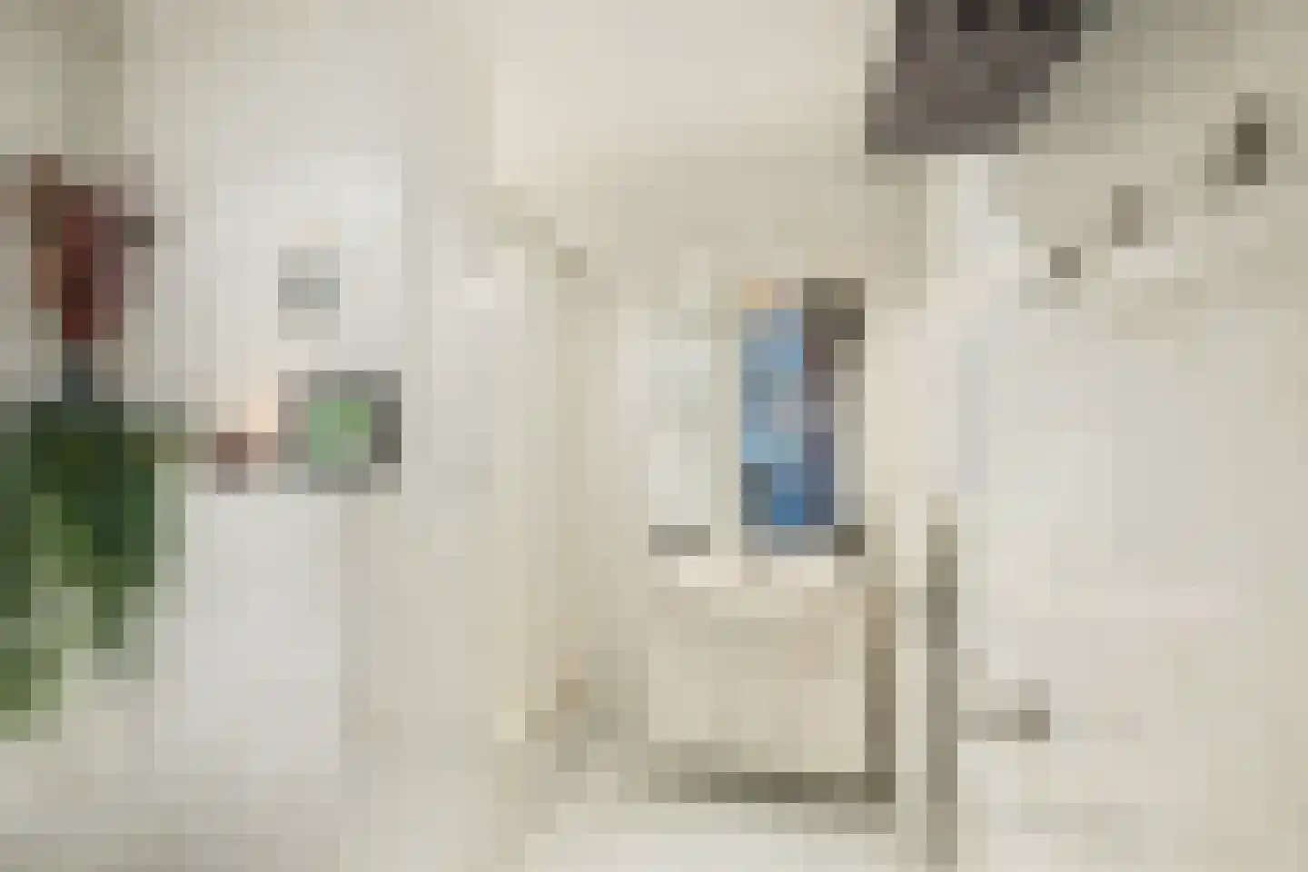Melis Stokezijde 88 Den Haag thumbnail 19