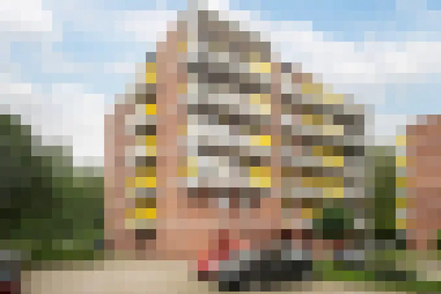 Melis Stokezijde 88 Den Haag thumbnail 22