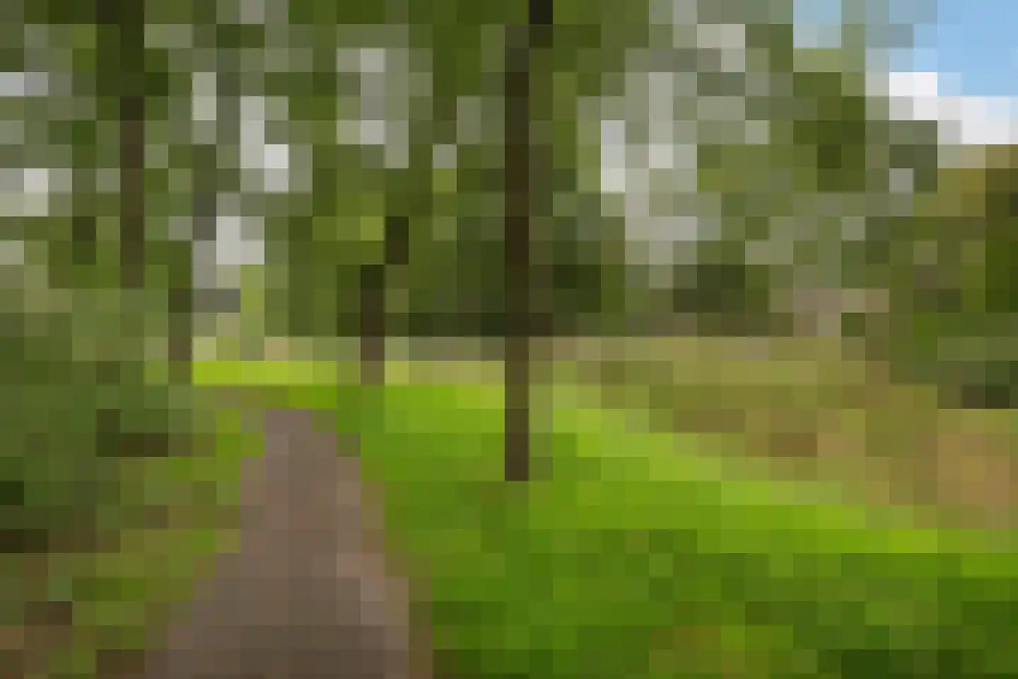 Melis Stokezijde 88 Den Haag thumbnail 26
