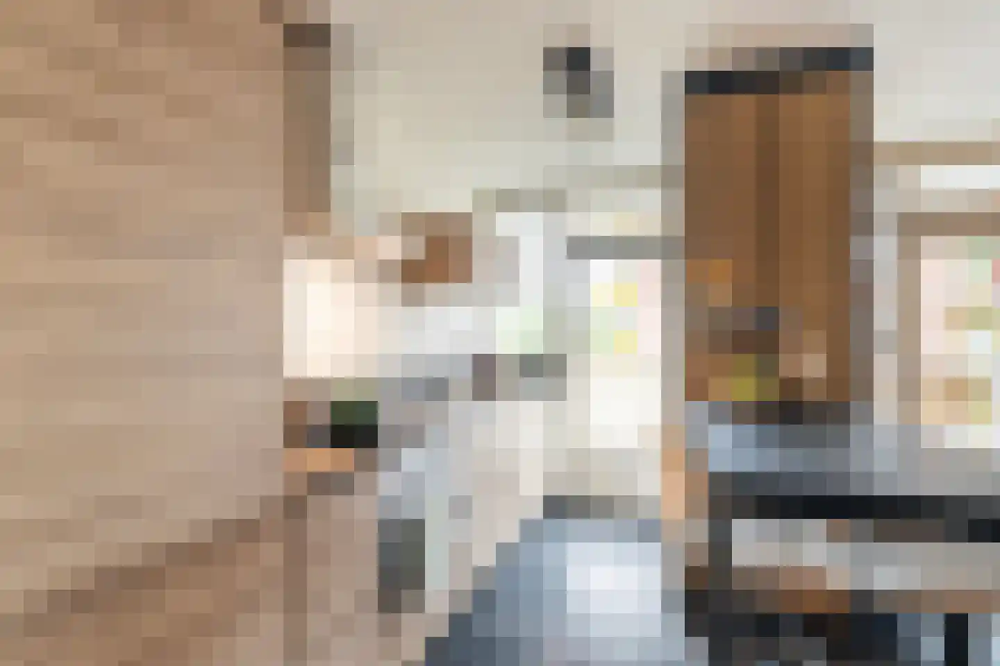 Melis Stokezijde 88 Den Haag thumbnail 5
