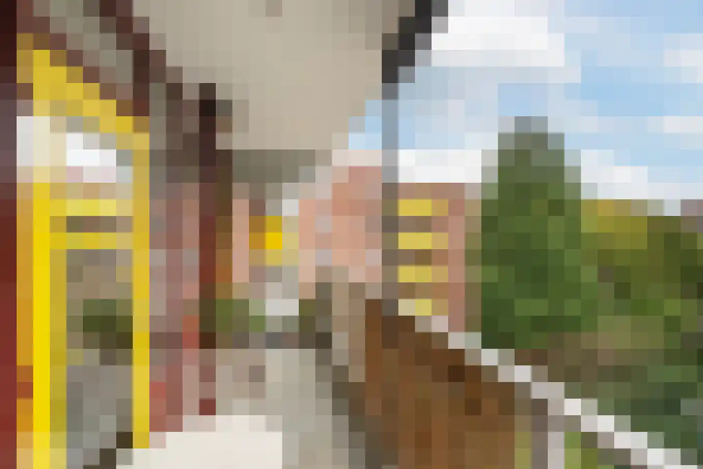 Melis Stokezijde 88 Den Haag thumbnail 8