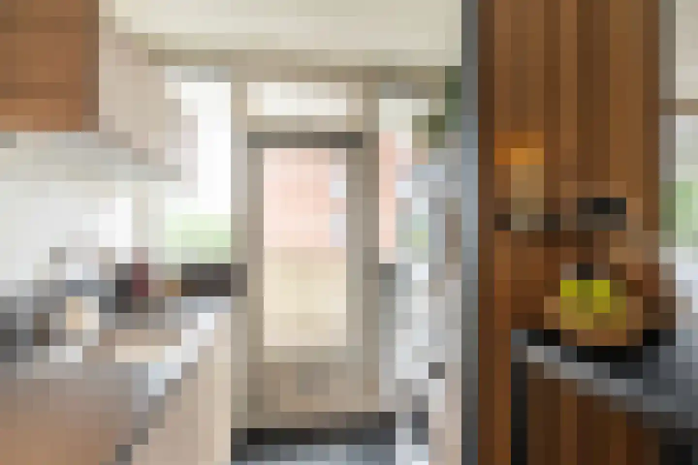 Melis Stokezijde 88 Den Haag thumbnail 9