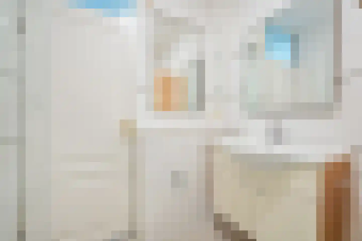 Melis Stokezijde 94 Den Haag thumbnail 13