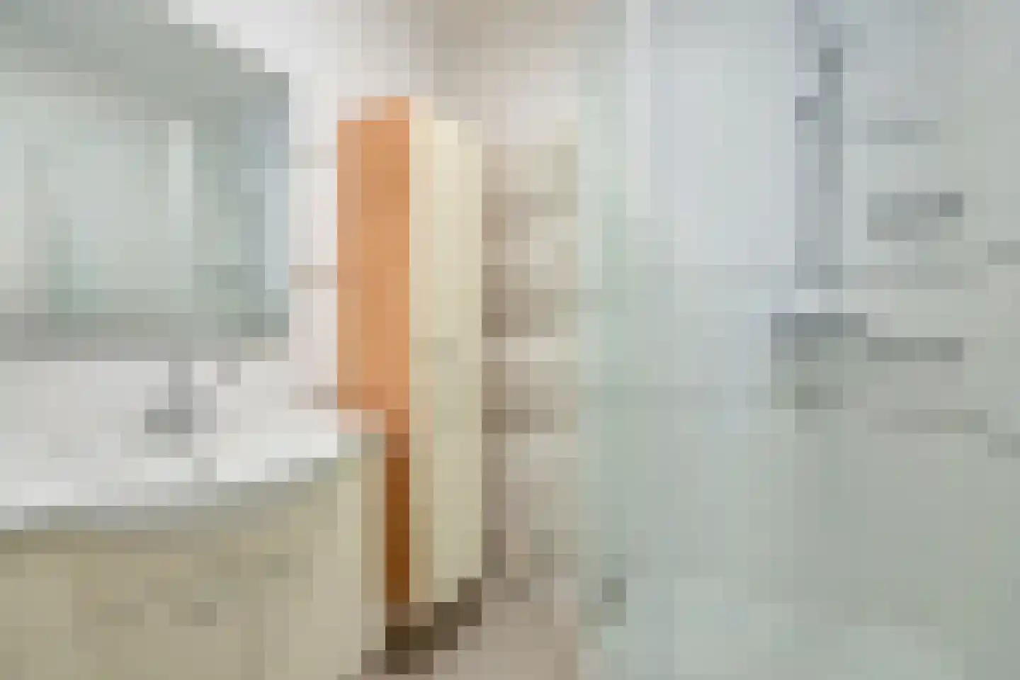 Melis Stokezijde 94 Den Haag thumbnail 14
