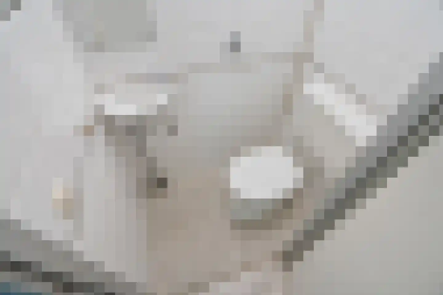 Melis Stokezijde 94 Den Haag thumbnail 15