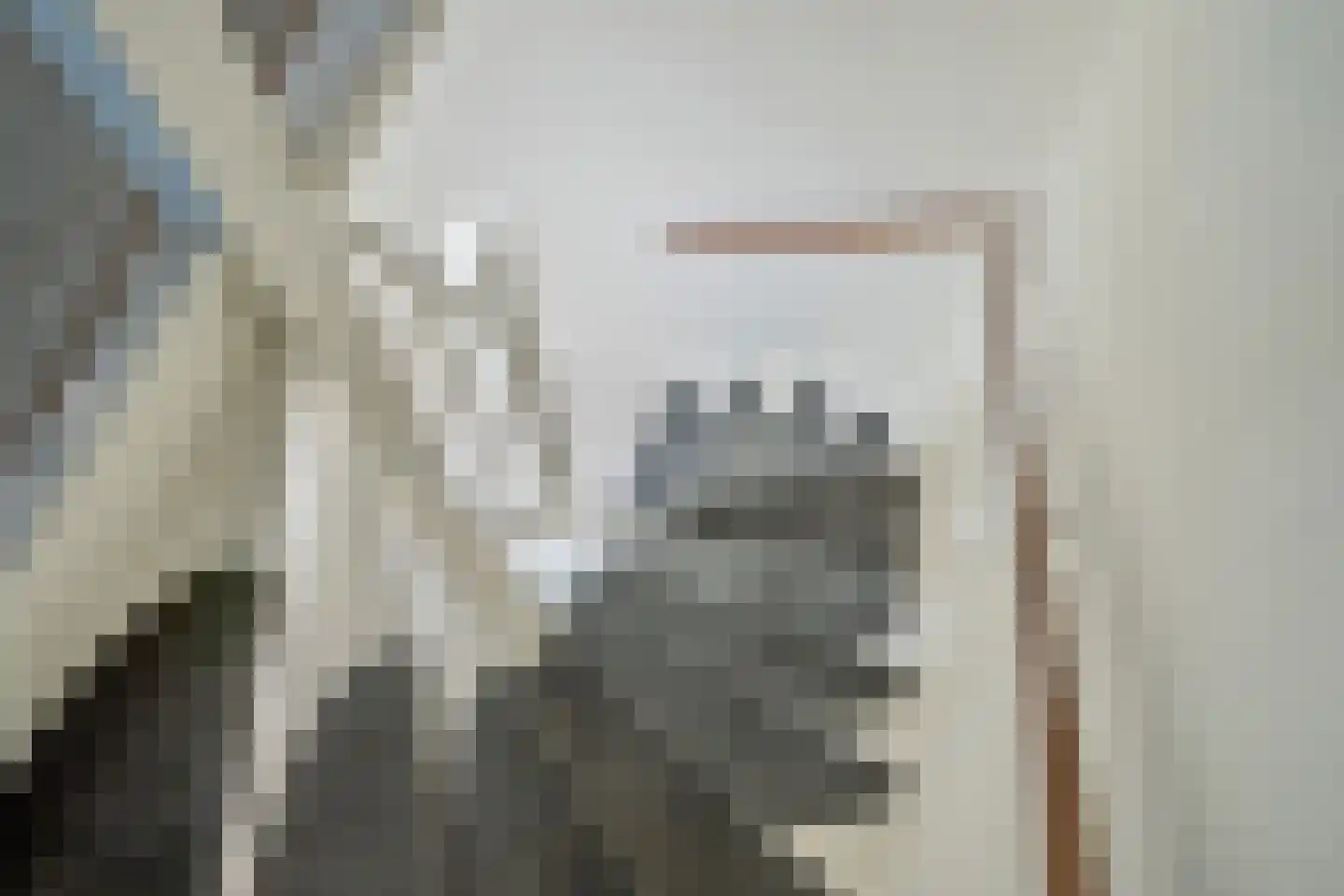 Melis Stokezijde 94 Den Haag thumbnail 22