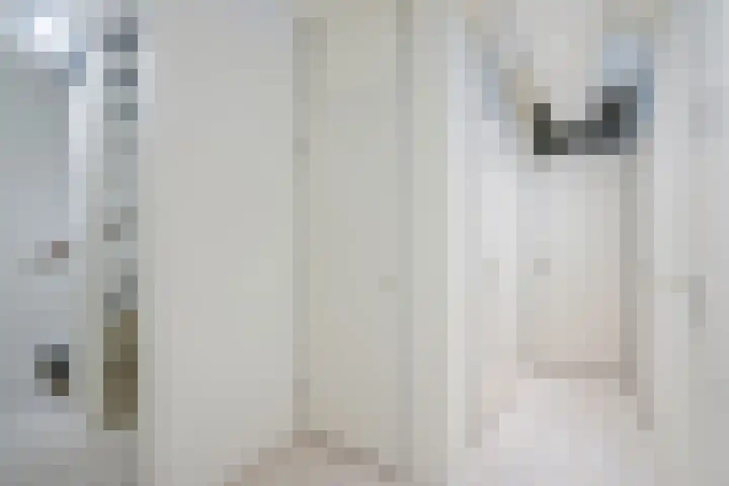 Melis Stokezijde 94 Den Haag thumbnail 24