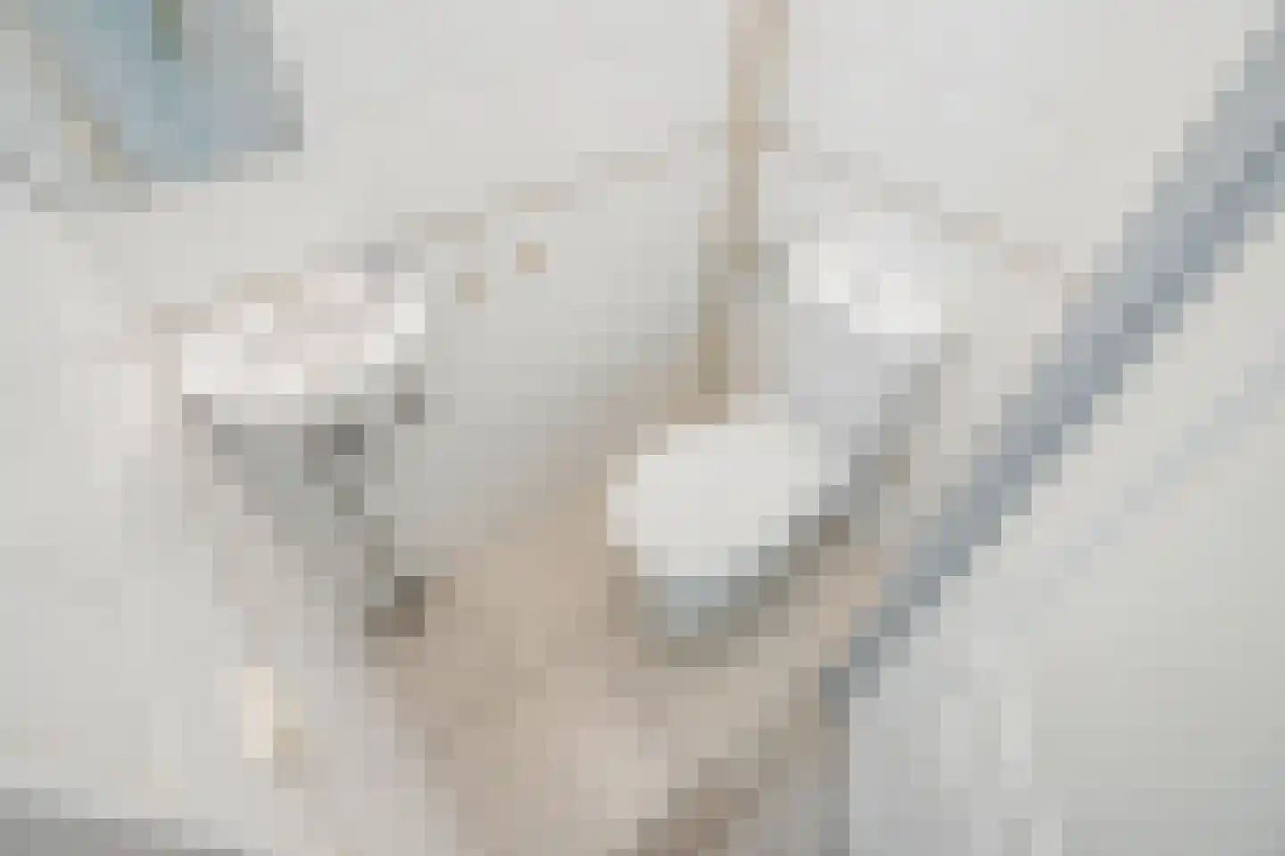 Melis Stokezijde 94 Den Haag thumbnail 29