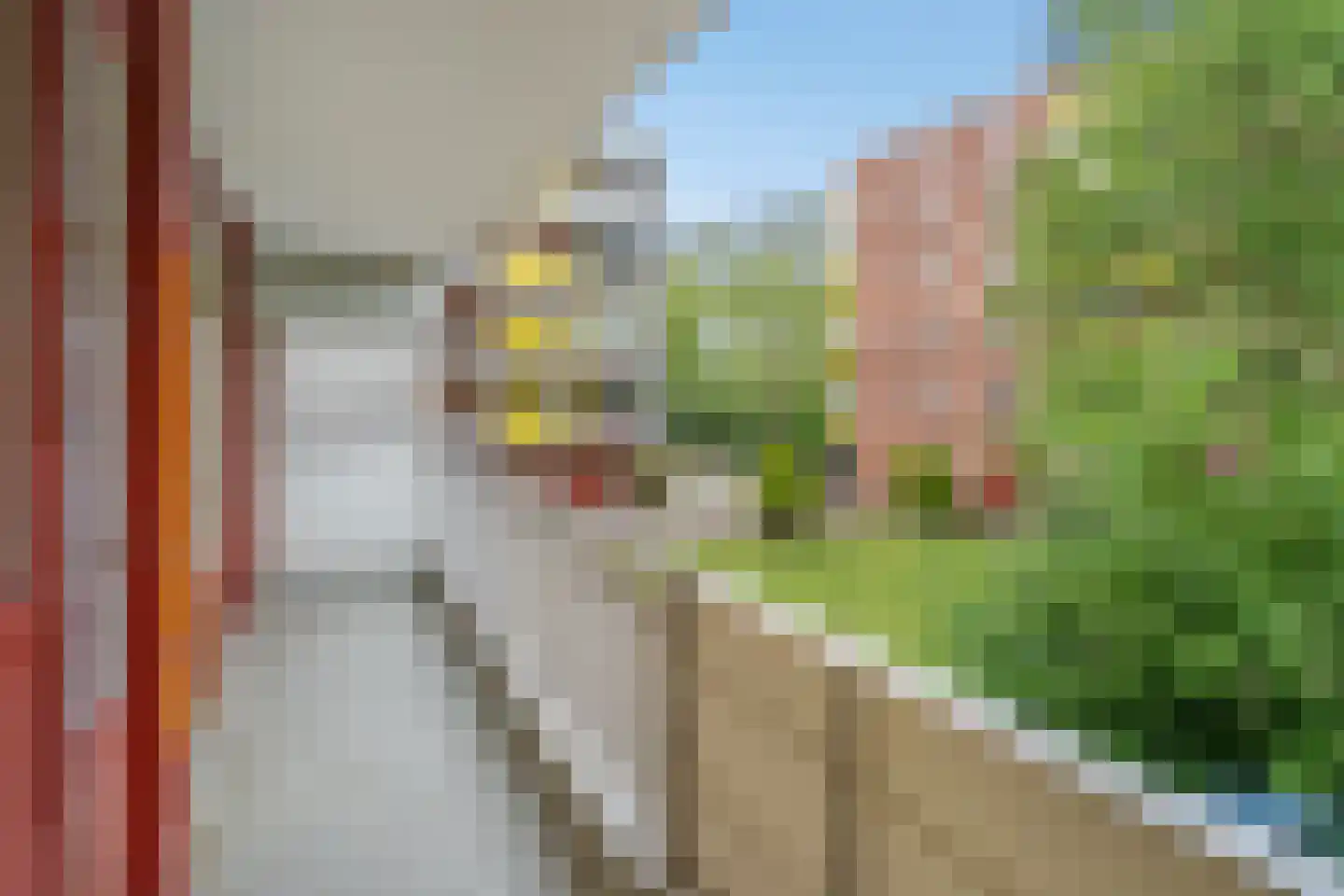 Melis Stokezijde 94 Den Haag thumbnail 4