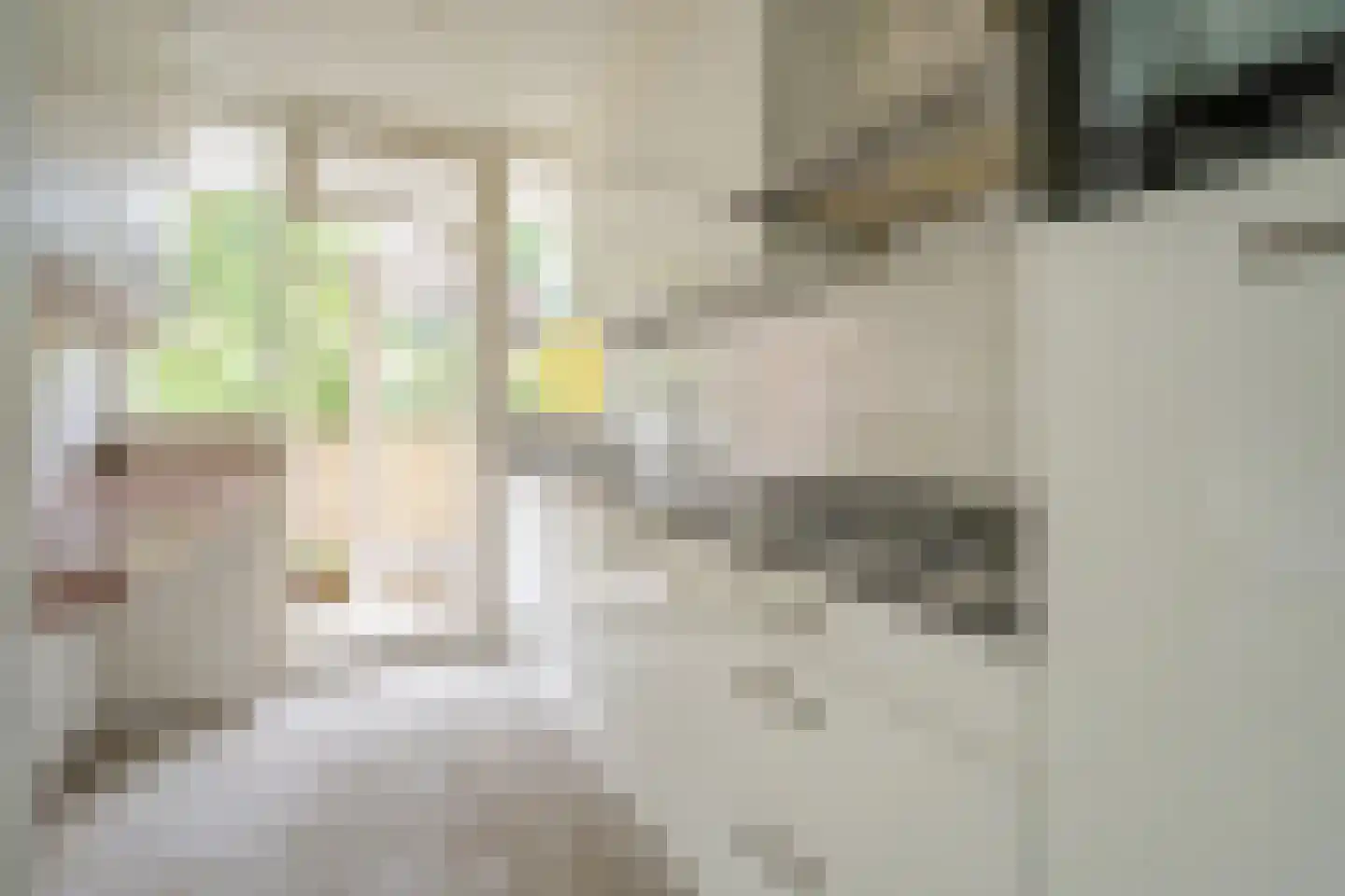 Melis Stokezijde 94 Den Haag thumbnail 5