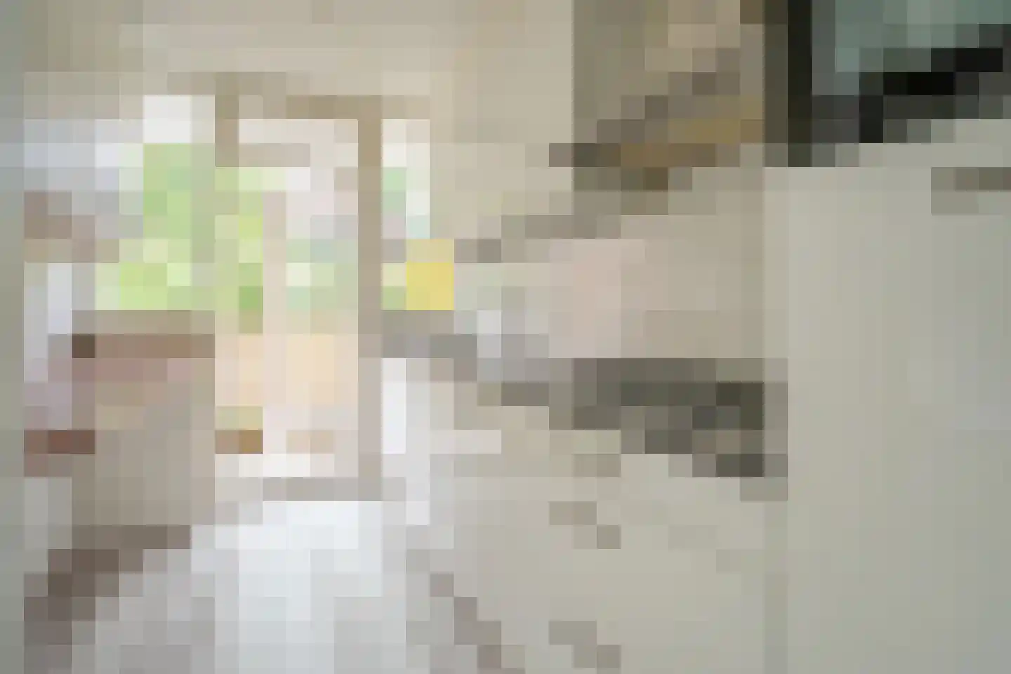 Melis Stokezijde 94 Den Haag thumbnail 5