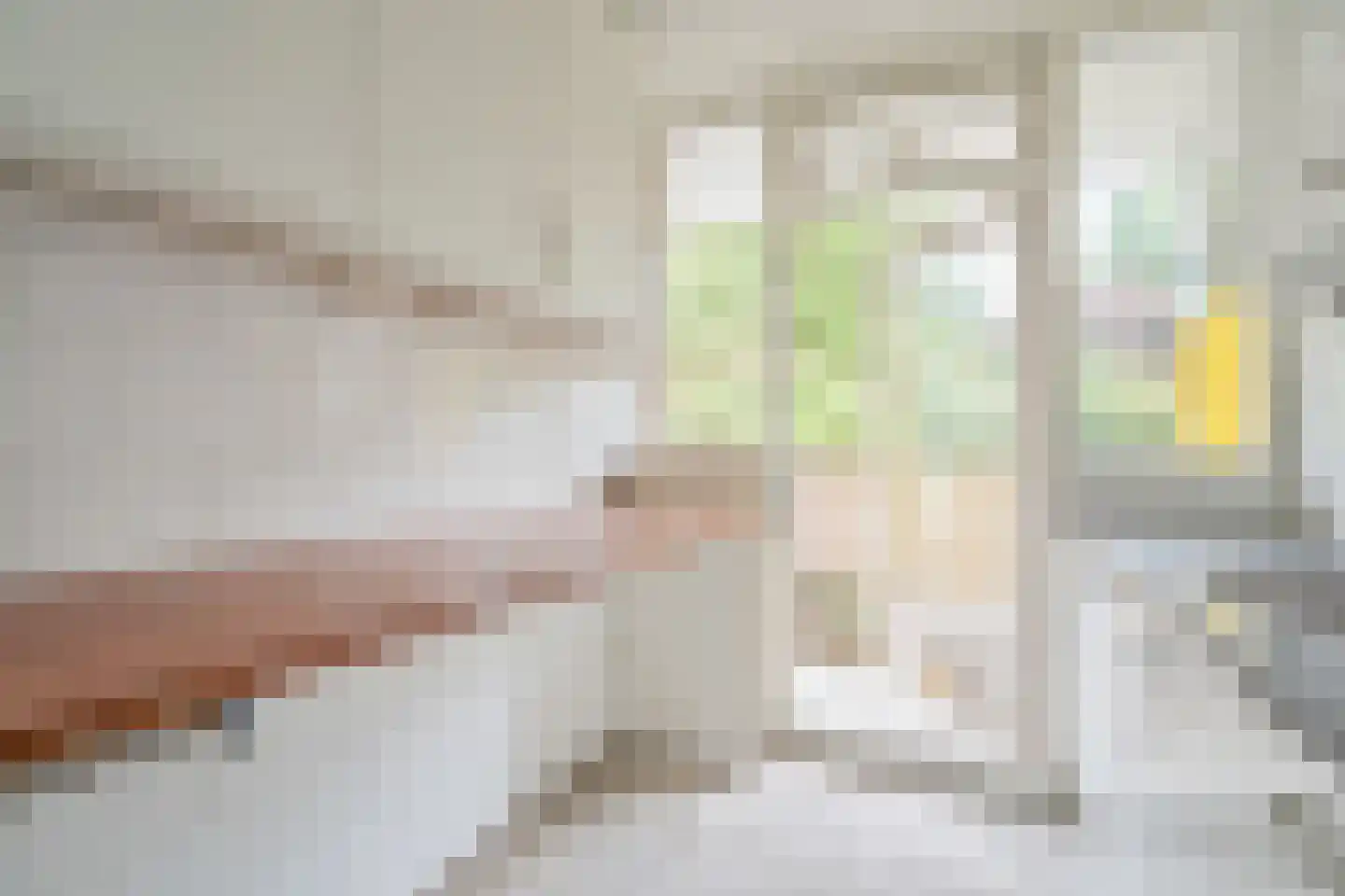 Melis Stokezijde 94 Den Haag thumbnail 6