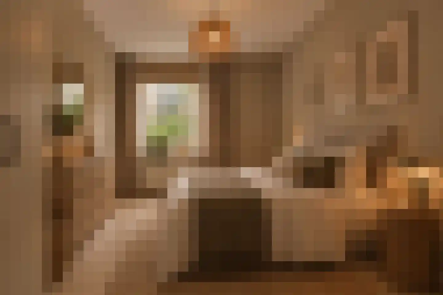 Melis Stokezijde 96 Den Haag thumbnail 16