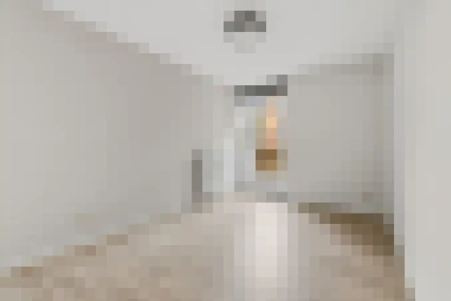Melis Stokezijde 96 Den Haag thumbnail 19