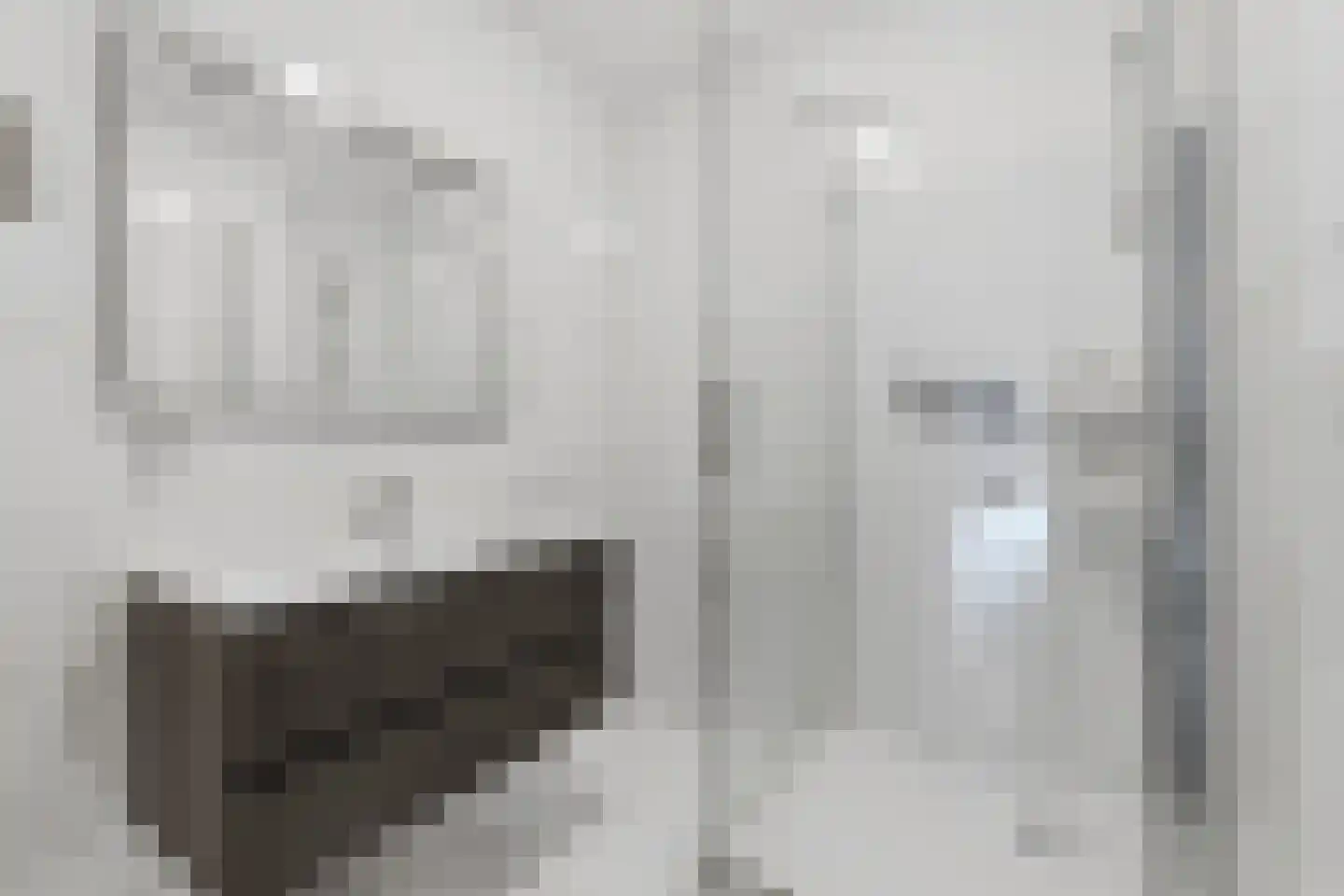 Melis Stokezijde 96 Den Haag thumbnail 22