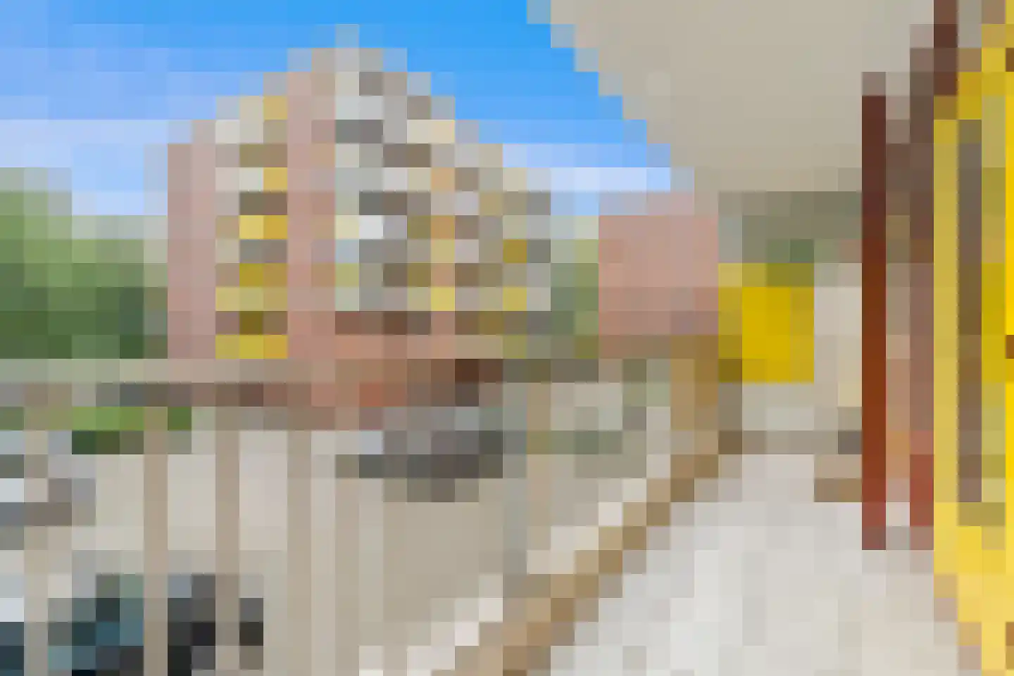 Melis Stokezijde 96 Den Haag thumbnail 30
