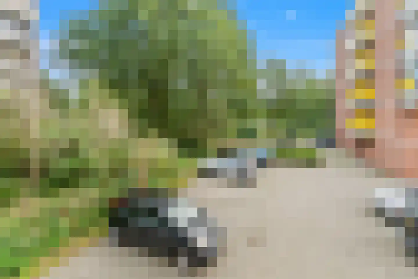 Melis Stokezijde 96 Den Haag thumbnail 33