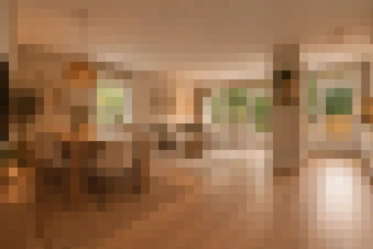 Melis Stokezijde 96 Den Haag thumbnail 6