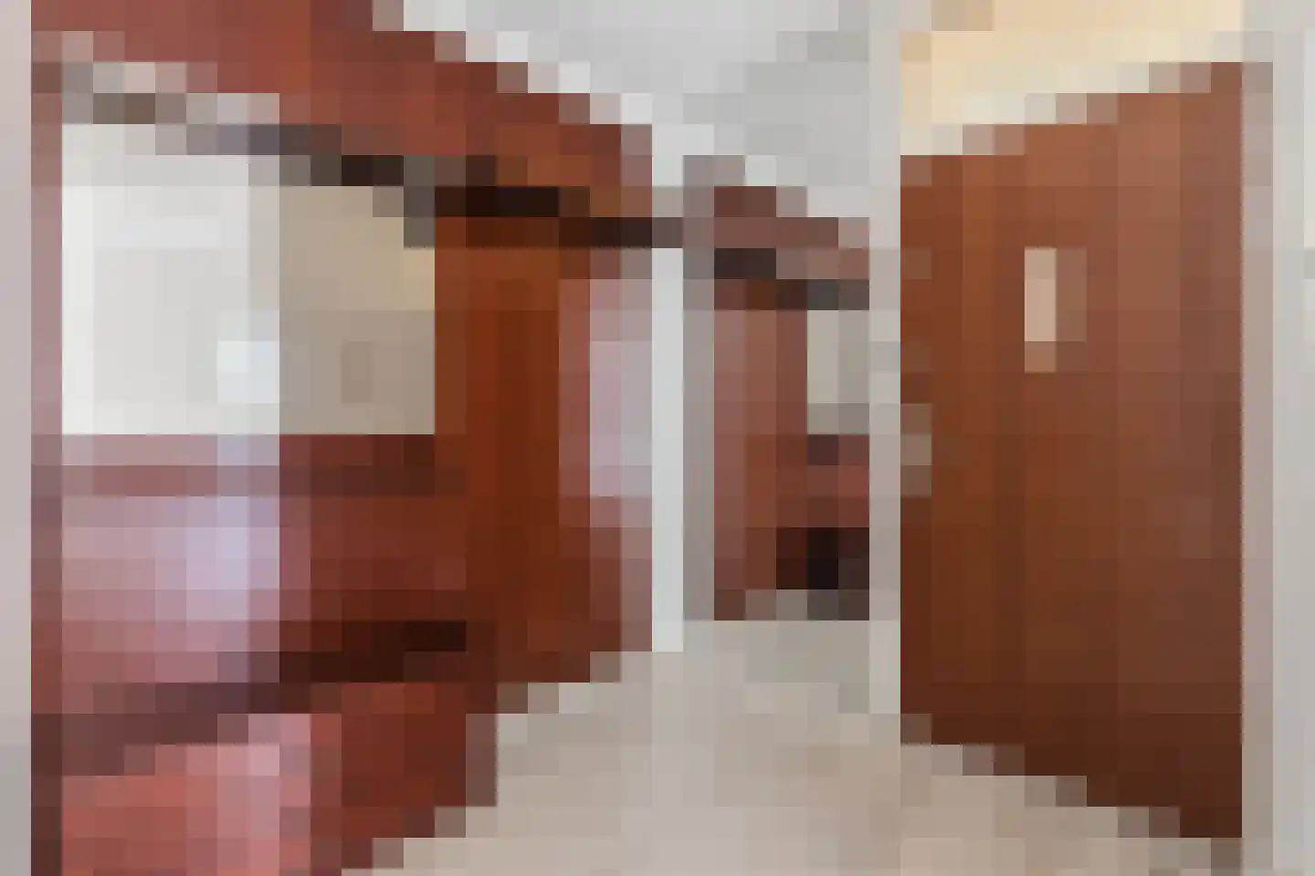 Melis Stokezijde 96 Den Haag thumbnail 9
