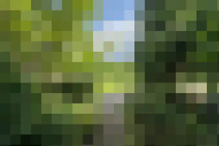 Mélisandepad 18 Amersfoort thumbnail 37