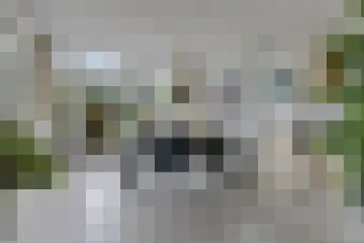 Mélisandepad 18 Amersfoort thumbnail 4
