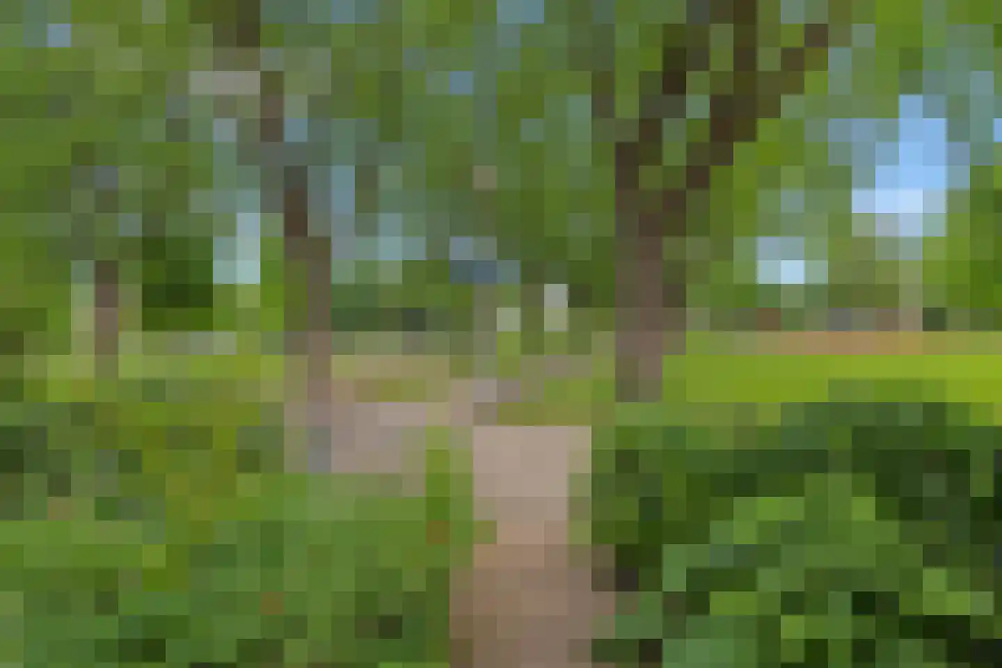 Mélisandepad 24 Amersfoort thumbnail 62