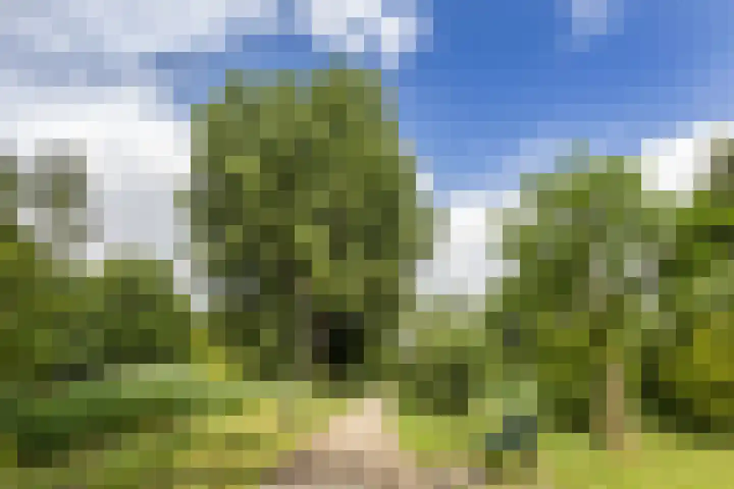Mélisandepad 24 Amersfoort thumbnail 66