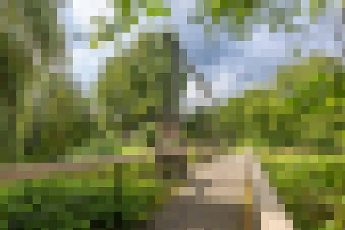 Mélisandepad 24 Amersfoort thumbnail 68