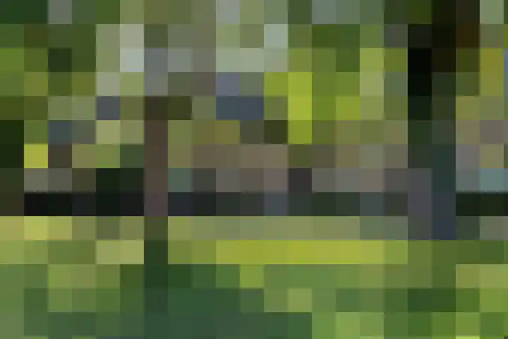 Mélisandepad 8 Amersfoort thumbnail 32