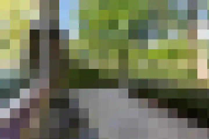 Mélisandepad 8 Amersfoort thumbnail 34