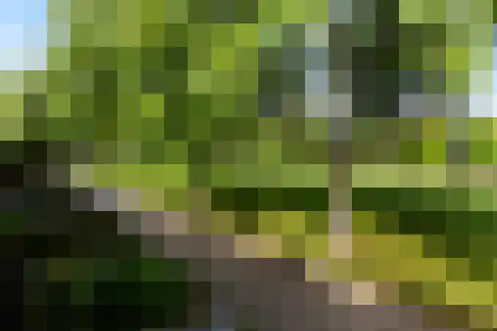 Mélisandepad 8 Amersfoort thumbnail 43