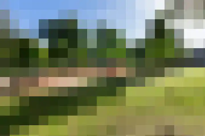 Mélisandepad 8 Amersfoort thumbnail 44