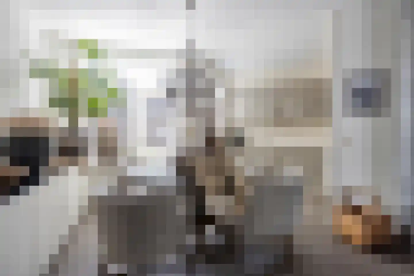 Meliskerkestraat 41 Arnhem thumbnail 11