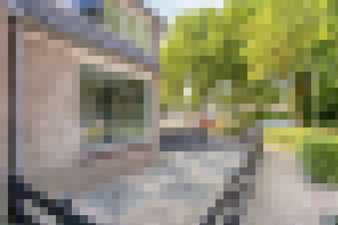 Meliskerkestraat 41 Arnhem thumbnail 33