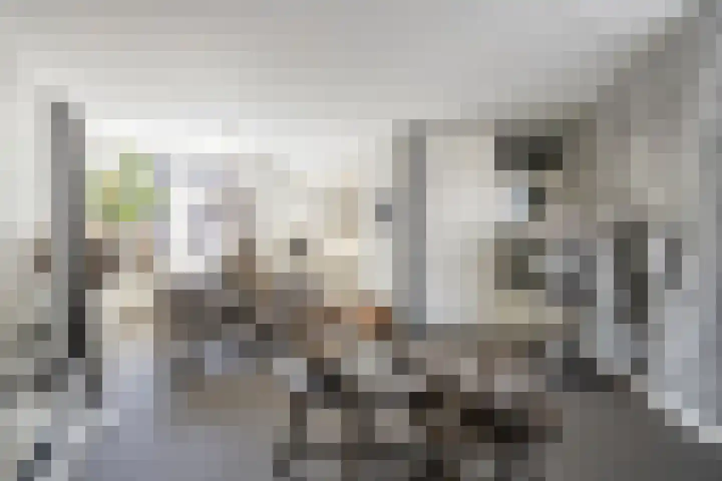 Meliskerkestraat 41 Arnhem thumbnail 6