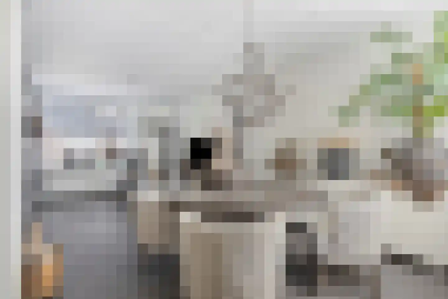 Meliskerkestraat 41 Arnhem thumbnail 9