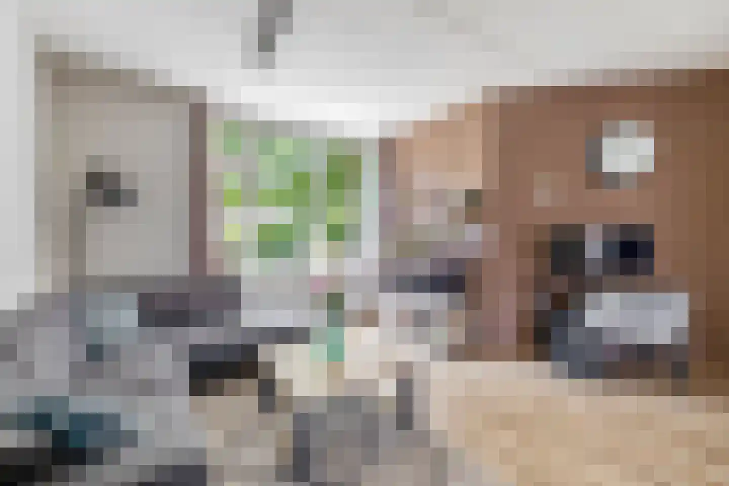 Meliskerkestraat 43 Arnhem thumbnail 4