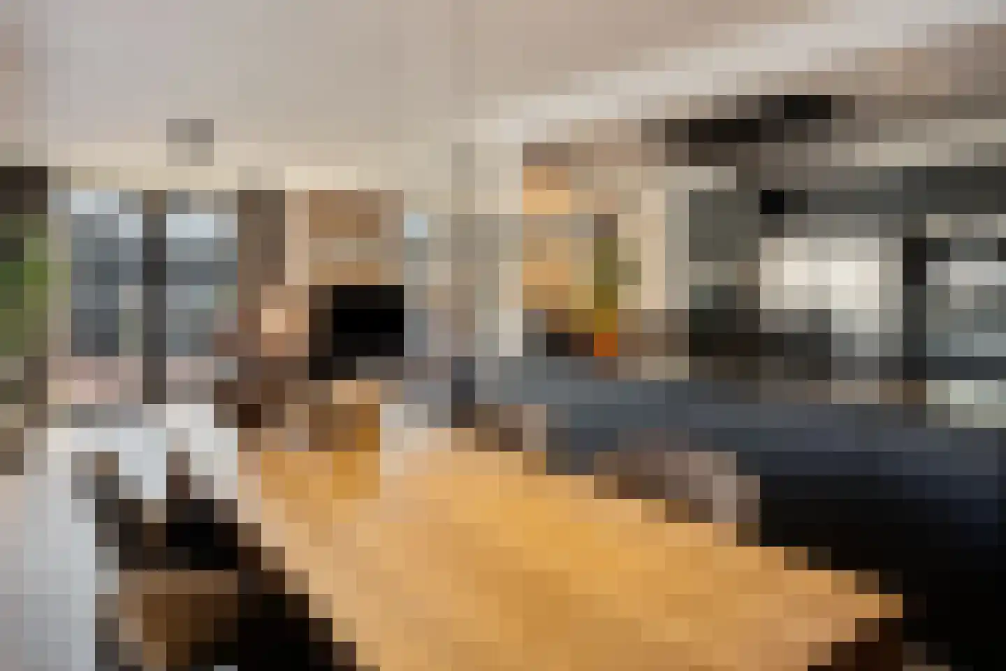 Meliskerkestraat 5 Tilburg thumbnail 24