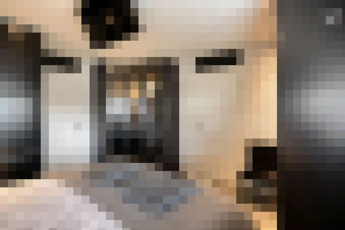 Meliskerkestraat 5 Tilburg thumbnail 31