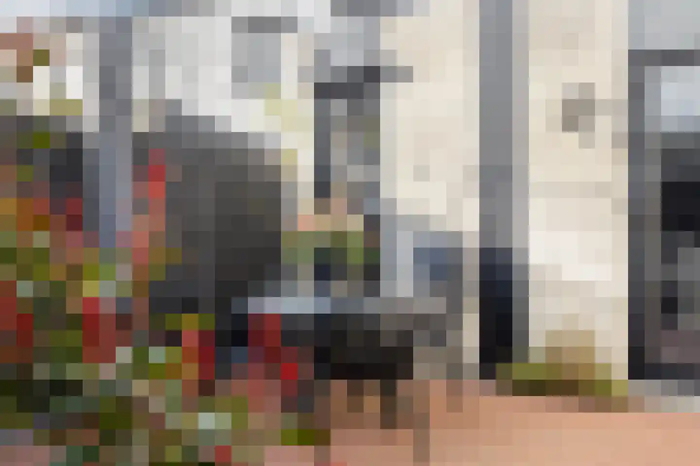 Meliskerkestraat 5 Tilburg thumbnail 42